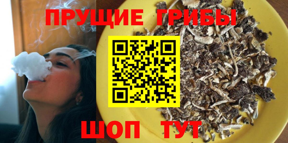 Галлюциногенные грибы Psilocybe  Вход с VPN  Бийск 